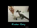 Rex albino vs Argentinosaurus