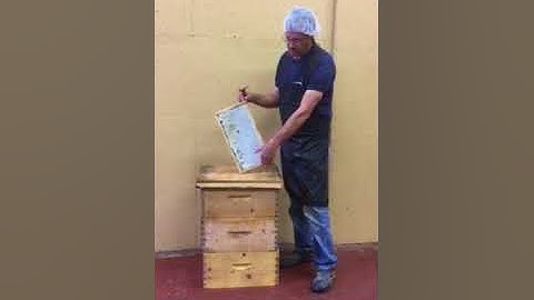 Using a Capping Scratcher