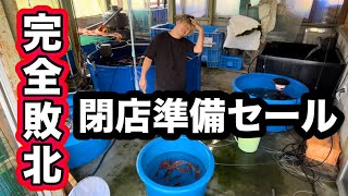 【遼河鯉庵】 成田養魚園には敵わないので閉店準備に残ってる鯉を格安で捌いちゃいます…