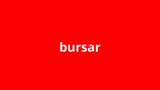 what is the meaning of bursar