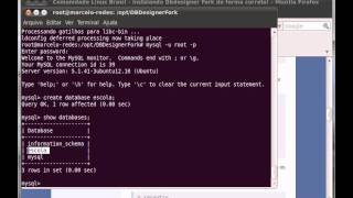 Intalação DBDesigner + mysql no ubuntu.2/3.avi
