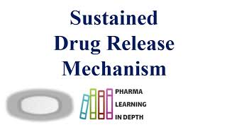 Sustained Drug Release Mechanism