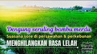 Download Lagu Dengung seruling merdu Suasana sore menghilangkan rasa lelah by @tikoflute MP3 Download Lagu Dengung seruling merdu Suasana sore menghilangkan rasa lelah by @tikoflute MP3