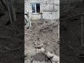 Мартове на Харківщині атакували дрони РФ: «Коріння дерев летіли 200-300 метрів на сусідні ділянки»