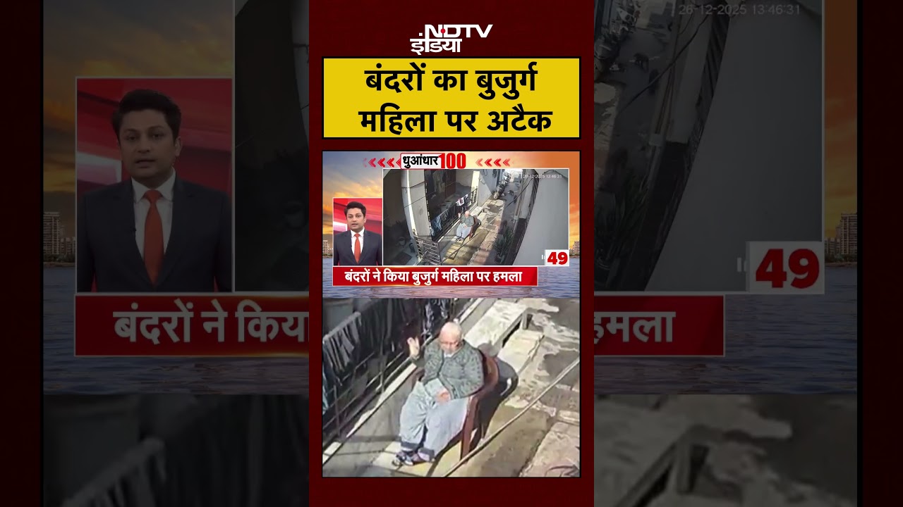 Haryana: बंदरों के झुंड ने बुजुर्ग महिला पर किया हमला | Monkey Attack | CCTV Video | Viral | 