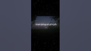 #quran #راحة_نفسية #تلاوة_خاشعة #تلاوة_هادئة #قران #قران_كريم #محمد_اللحيدان #اكسبلور #المصحف #آية