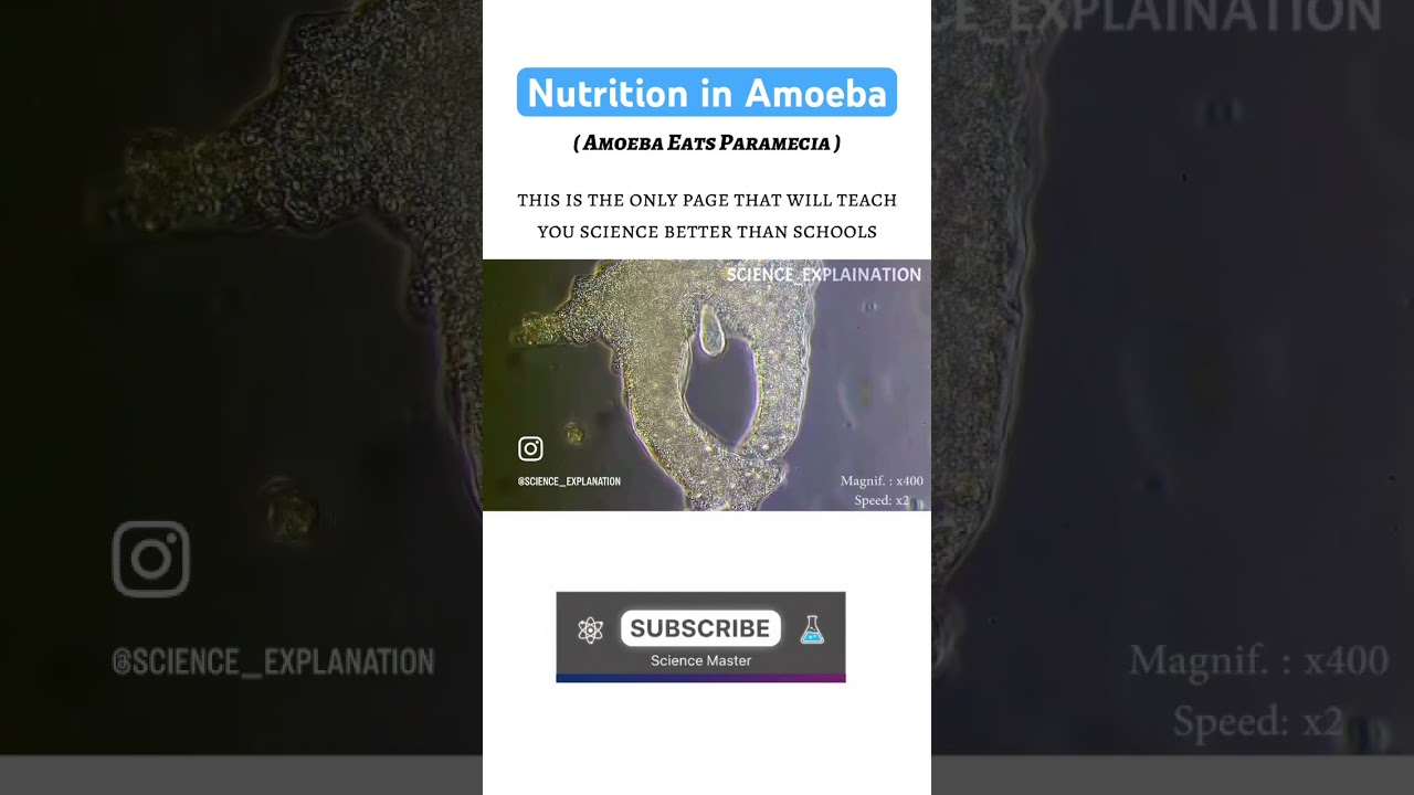 Till which class did you think Amoeba & Paramecium were friends? 😂 