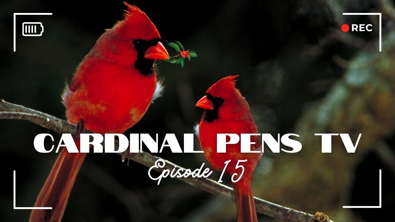 Cardinal Pens TV Episode 15 - Desk Set Delights