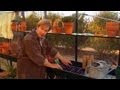 Growing Vegetables in the Fall | P. Allen Smith Classics