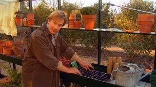 Growing Vegetables in the Fall | P. Allen Smith Classics