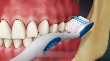 Hướng dẫn đánh răng hàm trong đúng cách