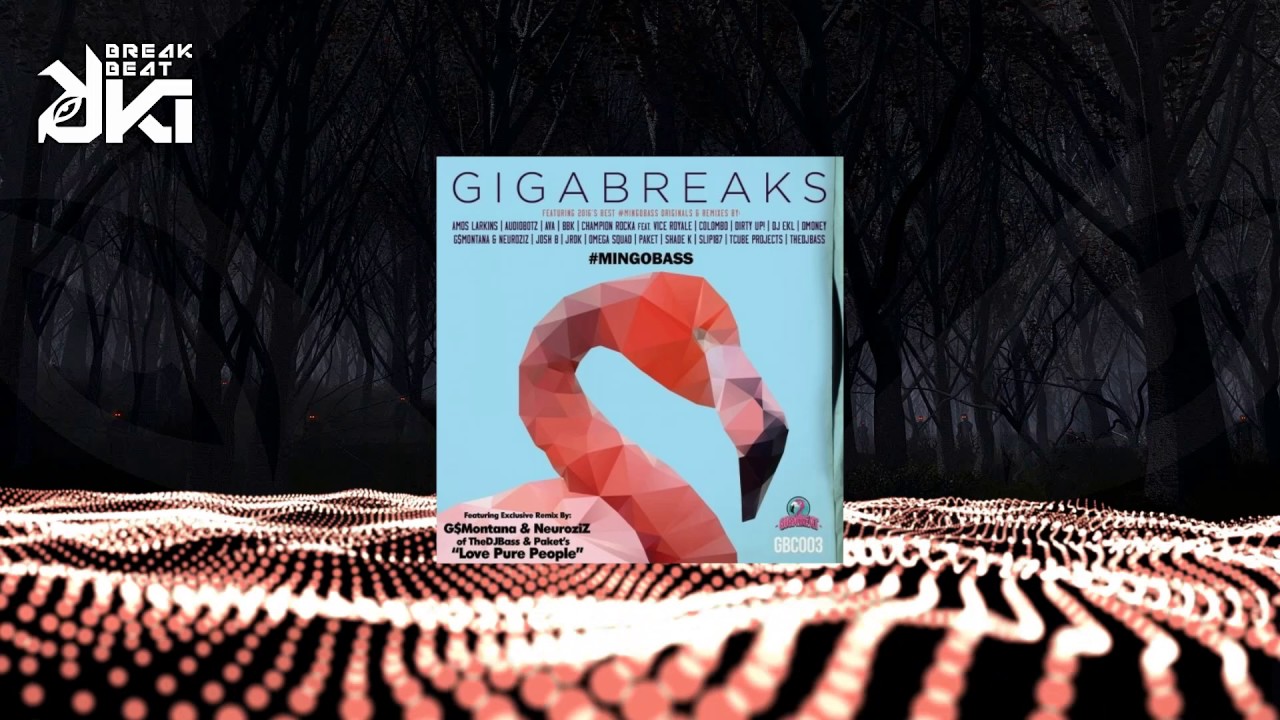 Paket, TheDJBass - Love Pure People (NeuroziZ & G$Montana Remix) Gigabeat Records