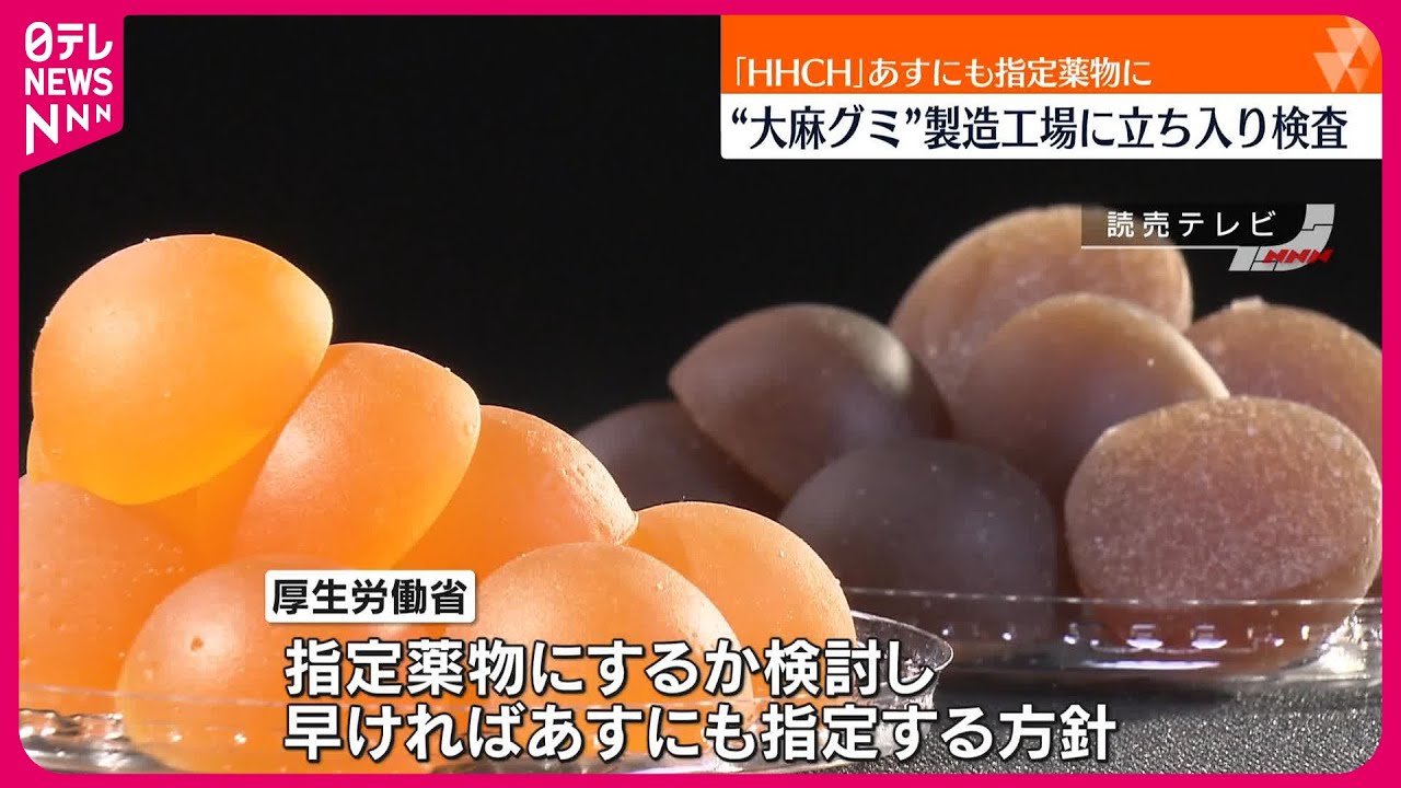 大麻 グミ