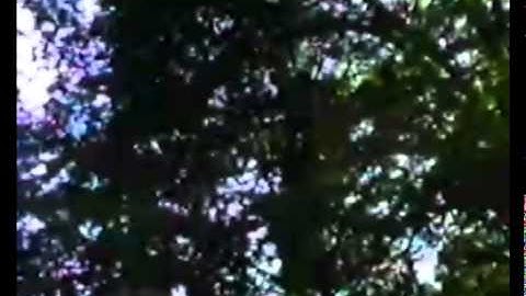 The Princeton Brick - John Conway