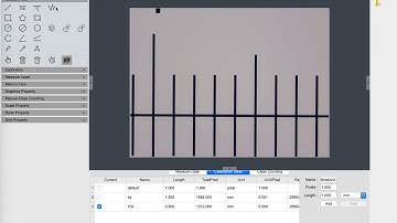 Microscope Camera Measurement Calibration in Mosaic