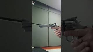 38 de 8 tiros e 6 polegadas é pau pra toda obra!