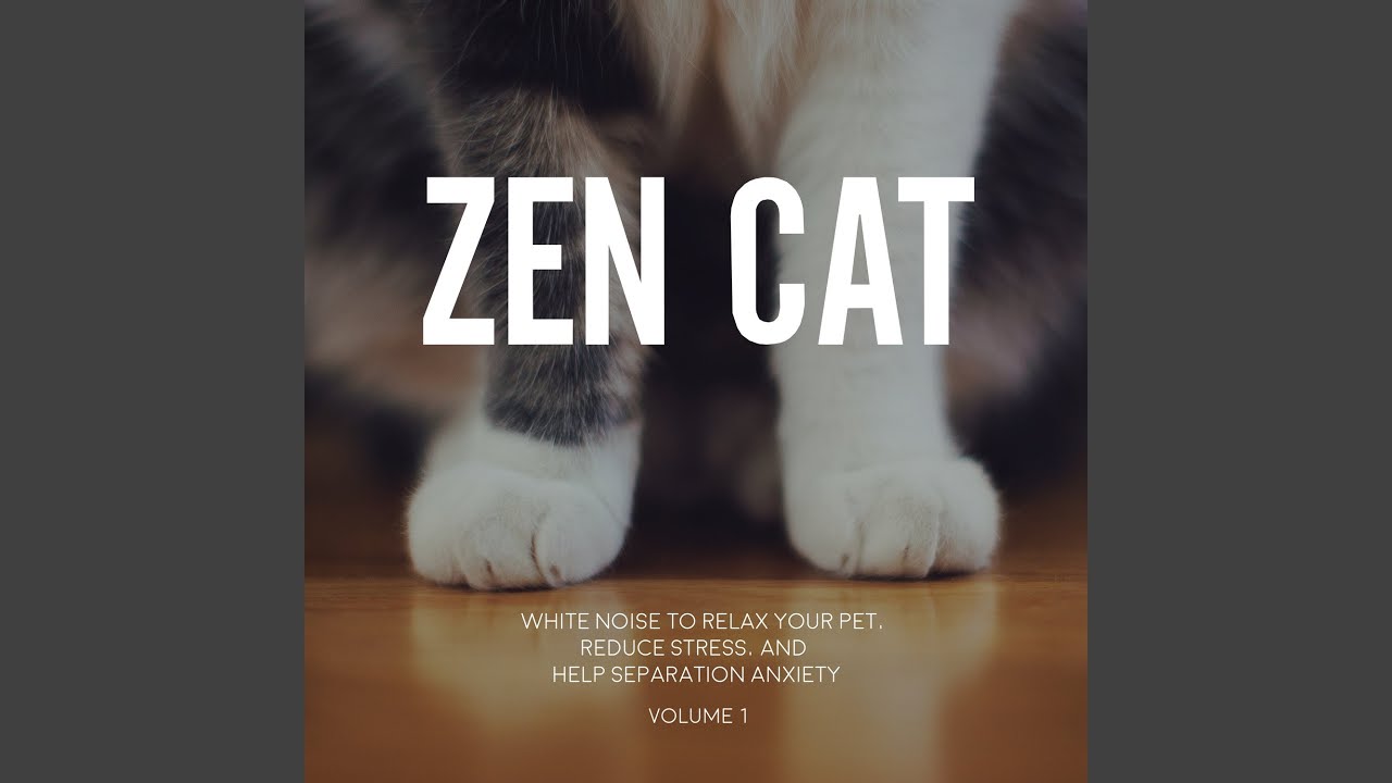 White Noise for Cats Relaxing Murmurs YouTube