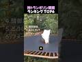 神トランポリン瞬間