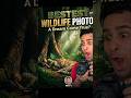 🚨🐆 Impossible Wildlife Shot?! 😱📸