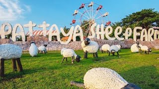 ที่เที่ยว ชลบุรี ฟาร์มแกะพัทยา ใหญ่ที่สุดในประเทศไทย ใกล้ หาดบางแสน || Pattaya Sheep Farm