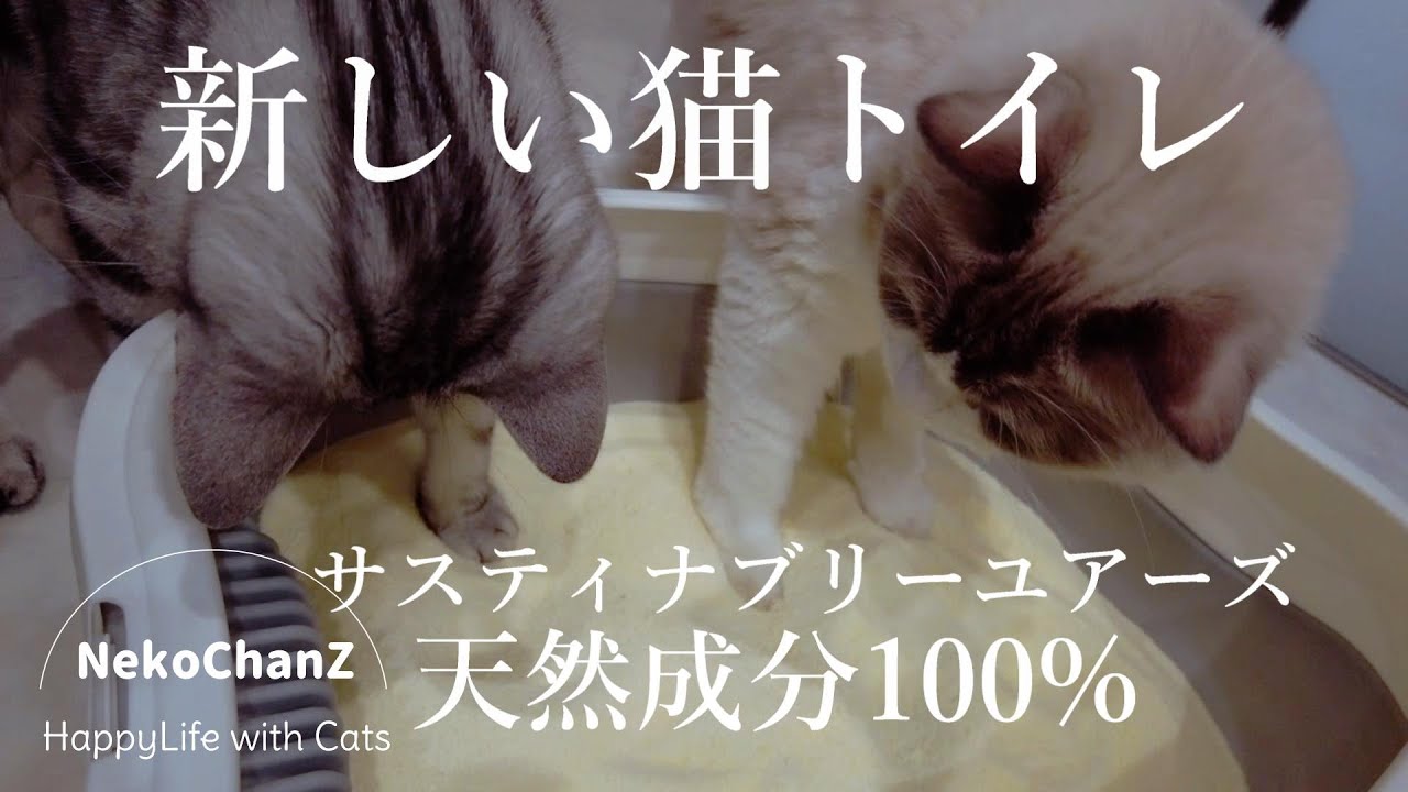 【猫トイレ】システムトイレだったけど固まる砂の新しいトイレに挑戦してみました！【サスティナブリーユアーズ　MULTI-CAT Plus】