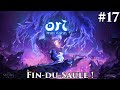 Ori and the will of the wisps 17  findusaule  difficile