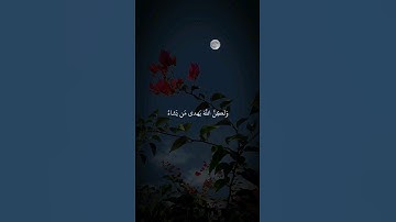 #قرآن_كريم #ياسر_الدوسري #سورة_القصص #الوطن_العربي #quran #islam #quran_kareem #islamic