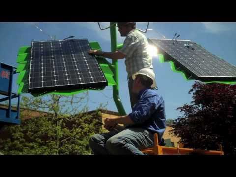 Power Flower Video
