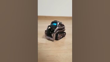 Goodbye Cozmo 😪😭