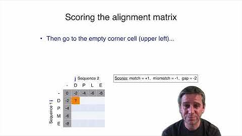 2.3 Dynamic programing, global alignment