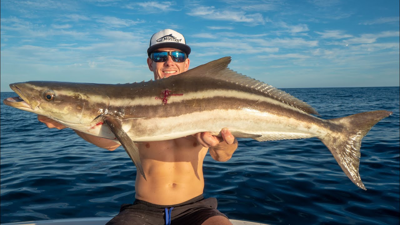 Nearly IMPOSSIBLE to Catch this Fish Catch Clean Cook (Cobia