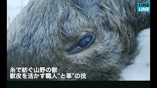 糸で紡ぐ山野の獣 獣皮を活かす職人と革の技