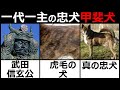 【甲斐犬】昔ながらの日本犬