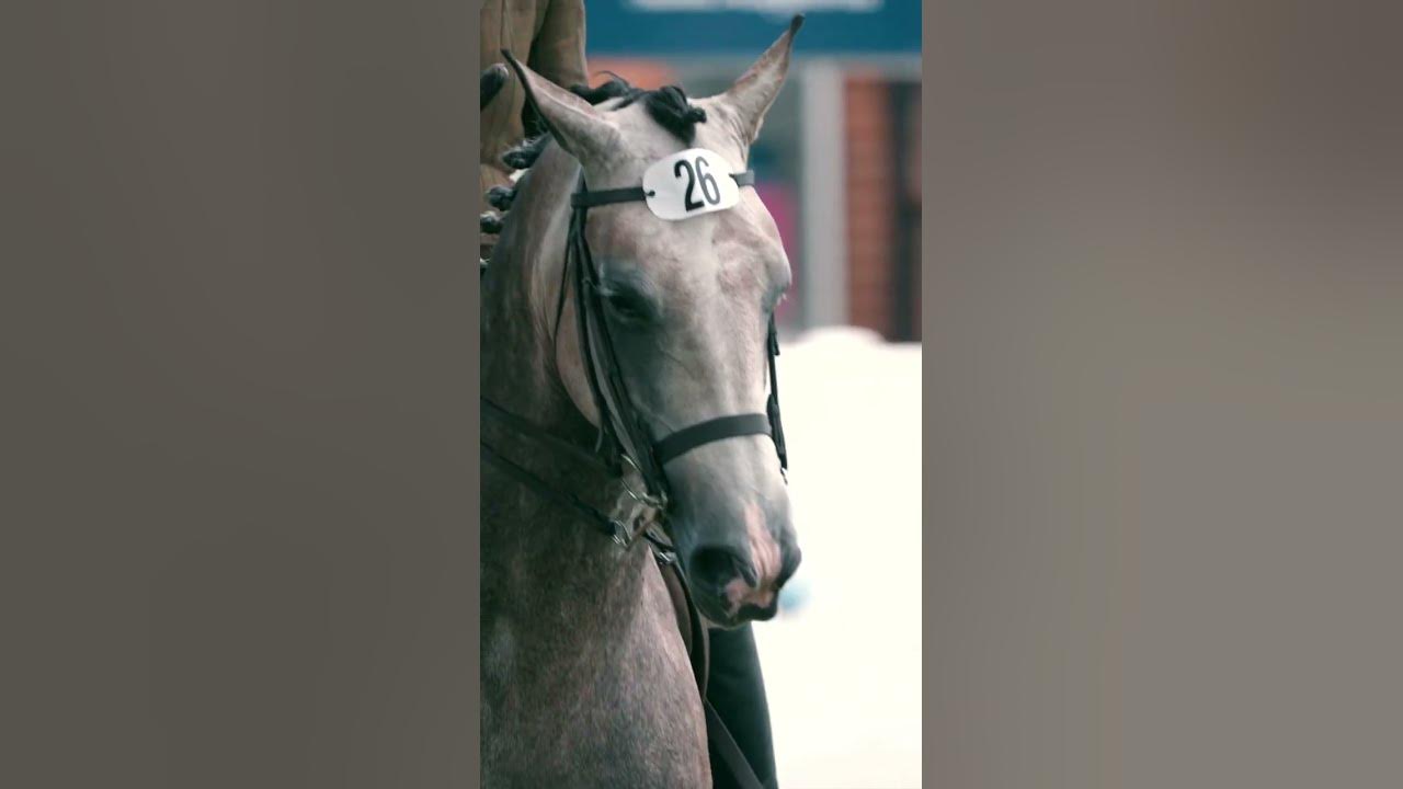 First look at the Hermès Horse exhibition