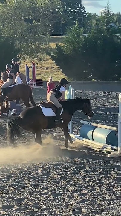 when-i-forgot-how-to-count-strides-tags-horse-equestrian-fyp
