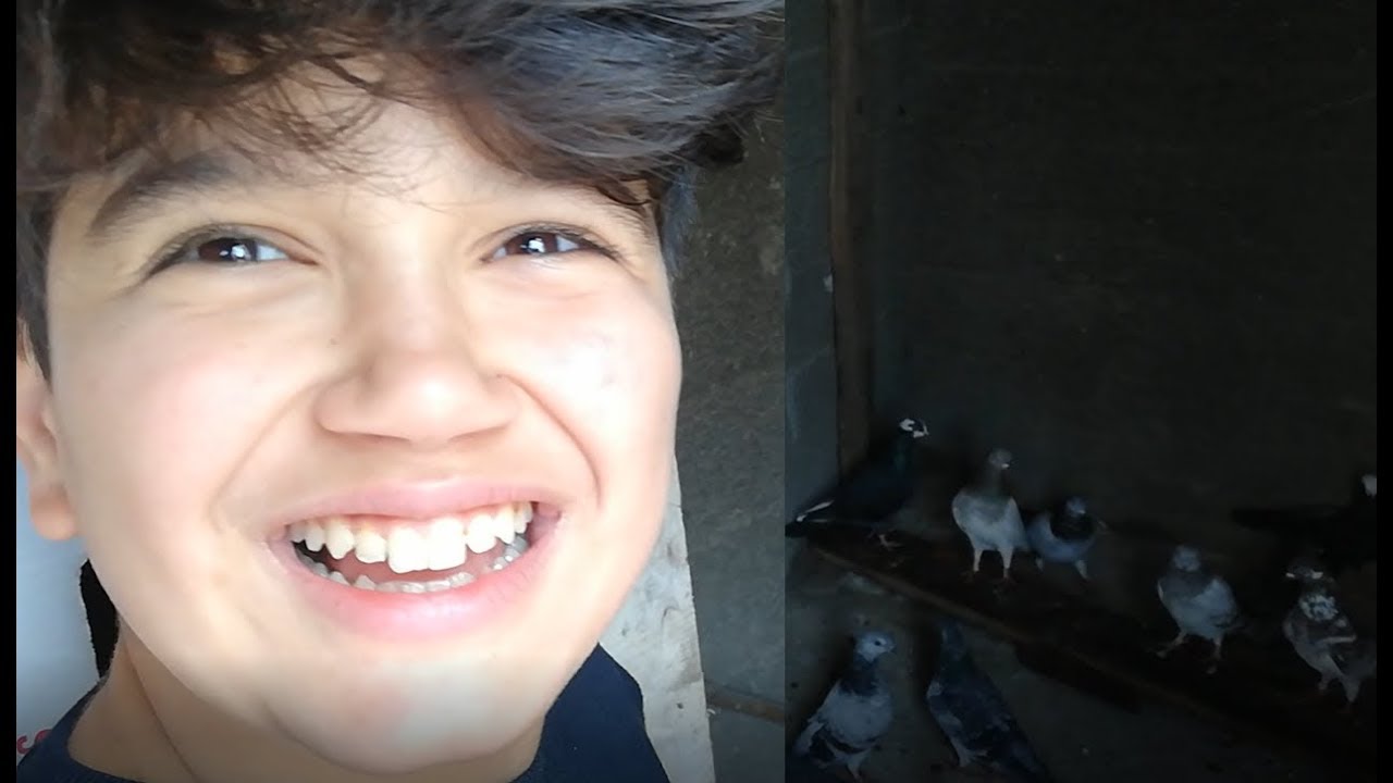 Ahmet Yusuf Gözlerine İnanamadı. Şaştı Kaldı. Ahmet Yusufun Güvercinleri