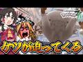 【ポケモンZA】プロデュースSSR【ヒッププレデター】part8【ゆっくり実況】【M次元ラッシュ】