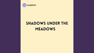 Shadows under the Meadows