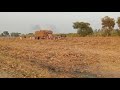 گنے کی ٹرالی اور ٹریکٹرز کی گہن گرج گنے کی ٹرالی اور ٹریکٹرز کی گہن گرج
