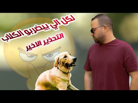 فيديو: تدريب الكلاب: إيجابيات وسلبيات استخدام الكلب Halti