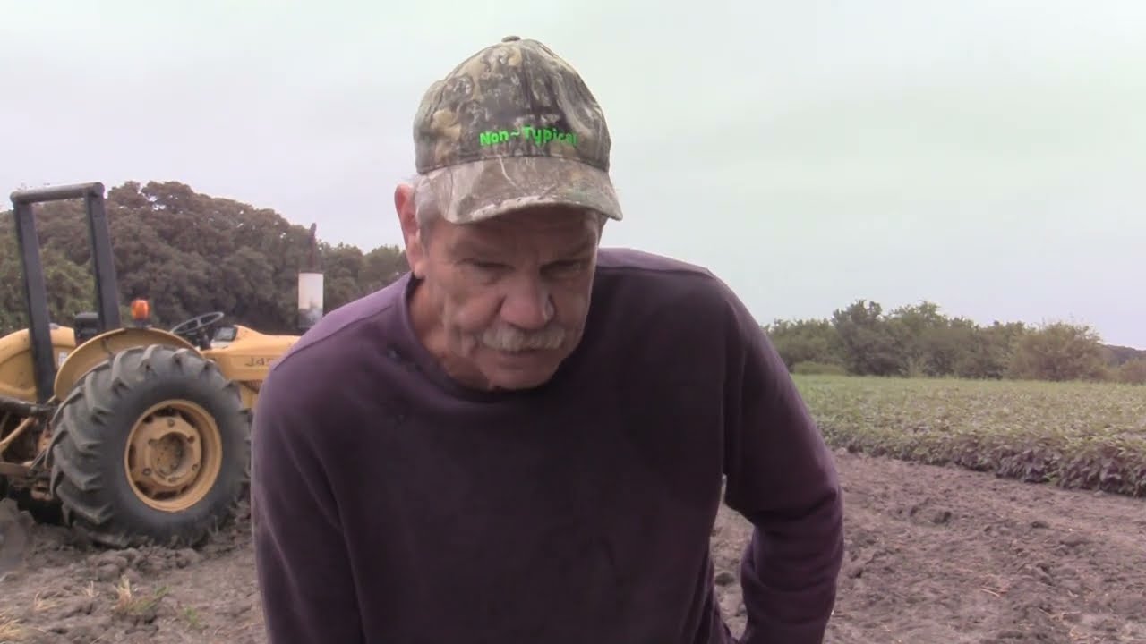 2024 Fall Food Plots with Don Mealey