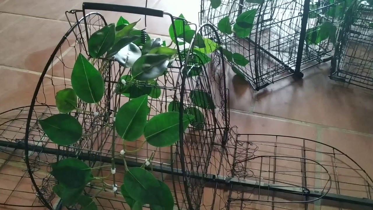 ongov Lụp bẫy quốc hai mặt hàng về nhiều LH 0981 767 026 // 0967 924 126 // 0888 935 262