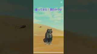 4ヶ月ぶりにあの例のやつが帰ってきた　