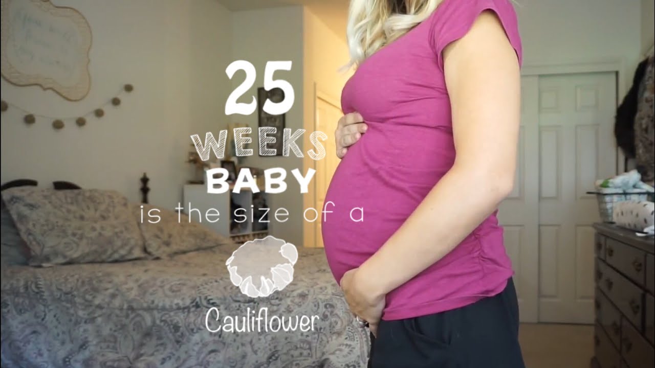 24 & 25 Week Pregnancy Update Belly Shot and Weight Gain YouTube