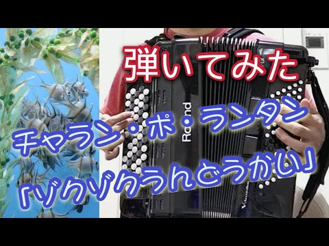 【弾いてみた20】チャラン・ポ・ランタン 「ゾクゾクうんどうかい」
