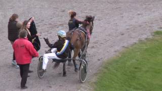 Ponnytrav Dannero 160904 Lopp 10
