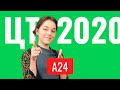 ЦТ 2020 А24