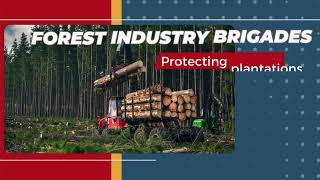 TRAILER - CFA Volunteer Forum 29 May 2025