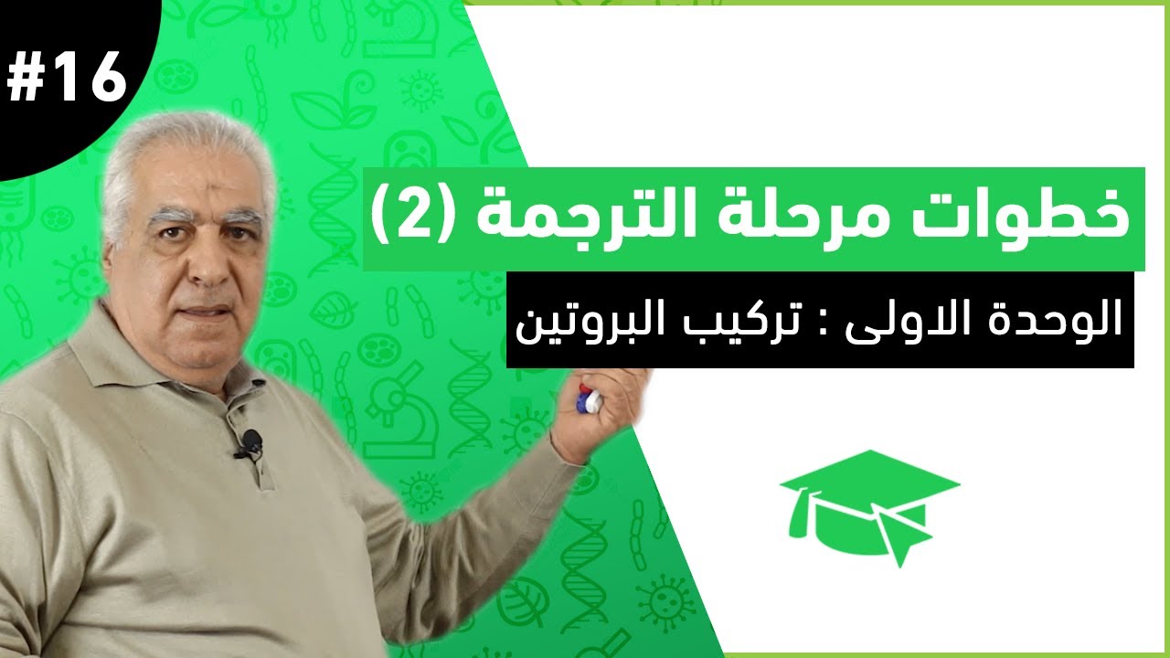 #16 خطوات مرحلة الترجمة ( الجزء الثاني )