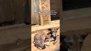 Kindly donate anything you can to support us get this dog treatment. Donation links in bio🙏❤️‍🩹
